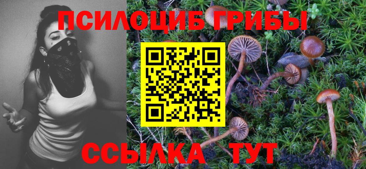 Когалым  Псилоцибиновые грибы MAGIC MUSHROOMS  закладка  Псилоцибиновые грибы мухоморы  Вход с VPN 